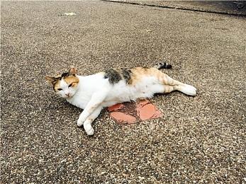 《魔兽世界》国服开启删档技术测试 玩家太热情服务器被挤爆